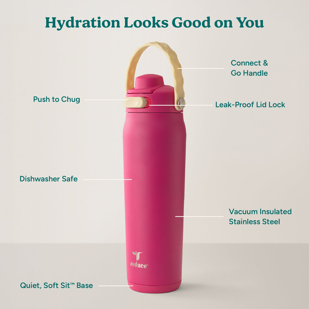 aura-26-oz-b5 Aura_26oz_DragonFruit_PDP_Infographic_2-03.jpg