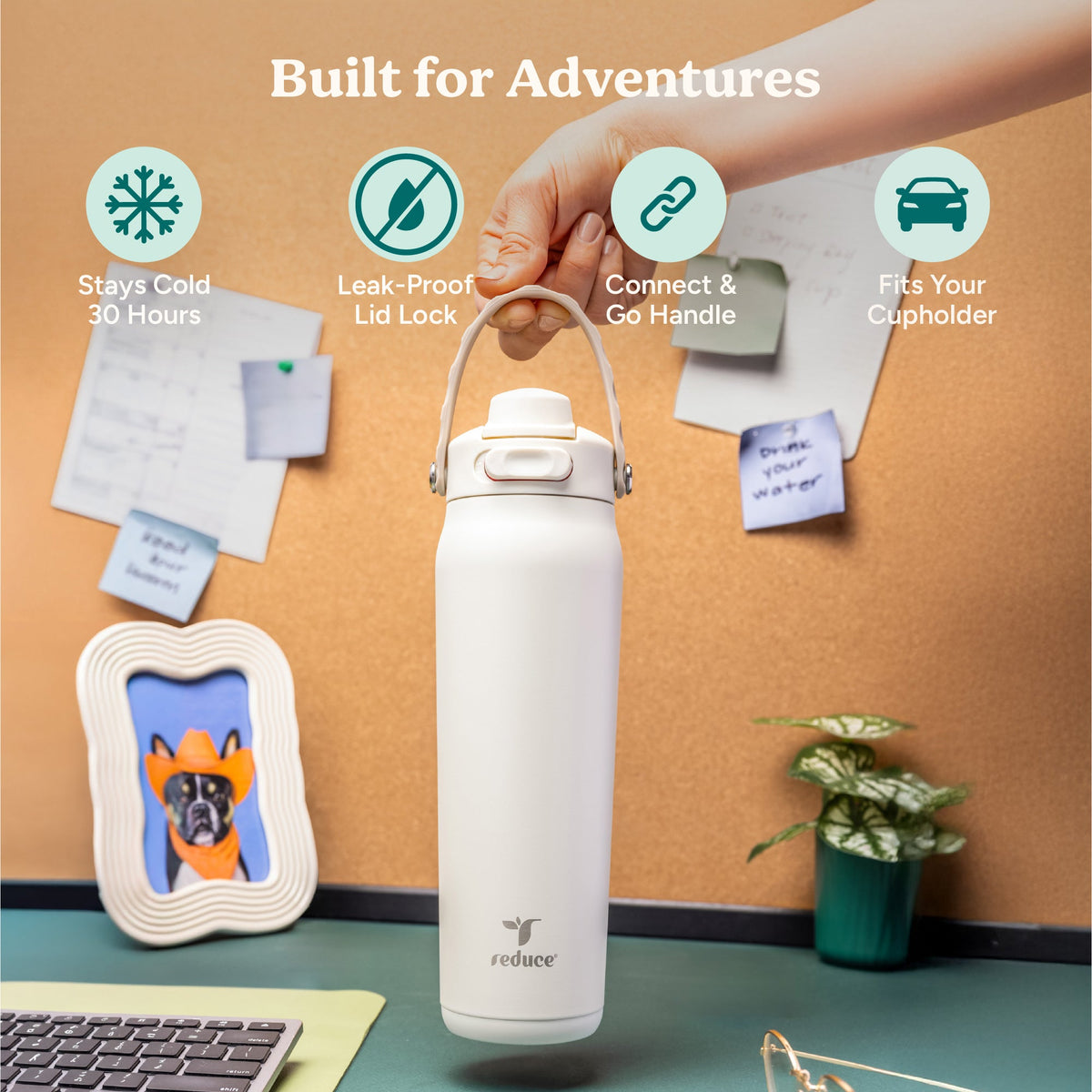 aura-26-oz-b5 Aura_26oz_Unbleached_PDP_Infographic_1.jpg