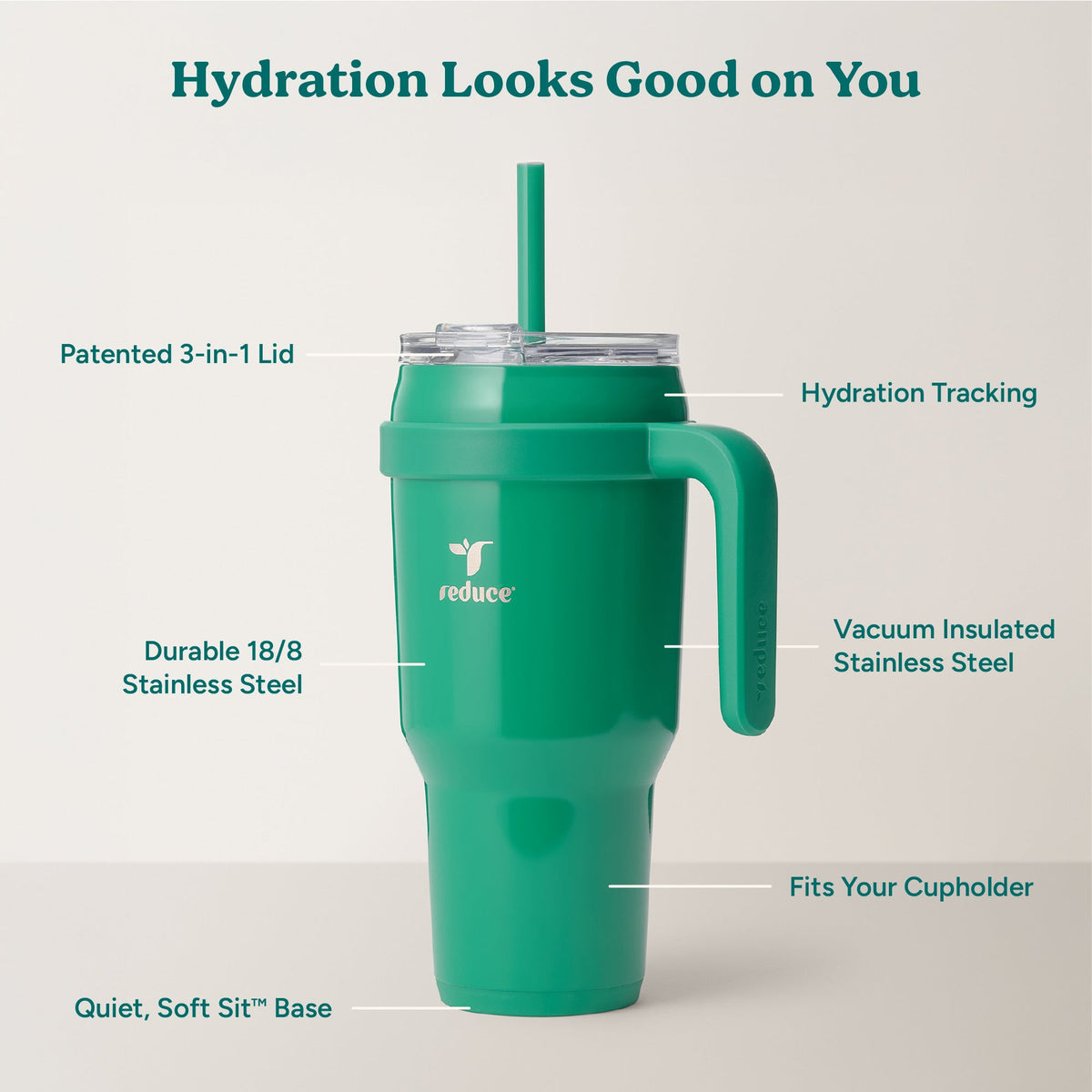 cold1-40-oz-e3 Cold1_40oz_PalmLeaf_Infographic_2.jpg