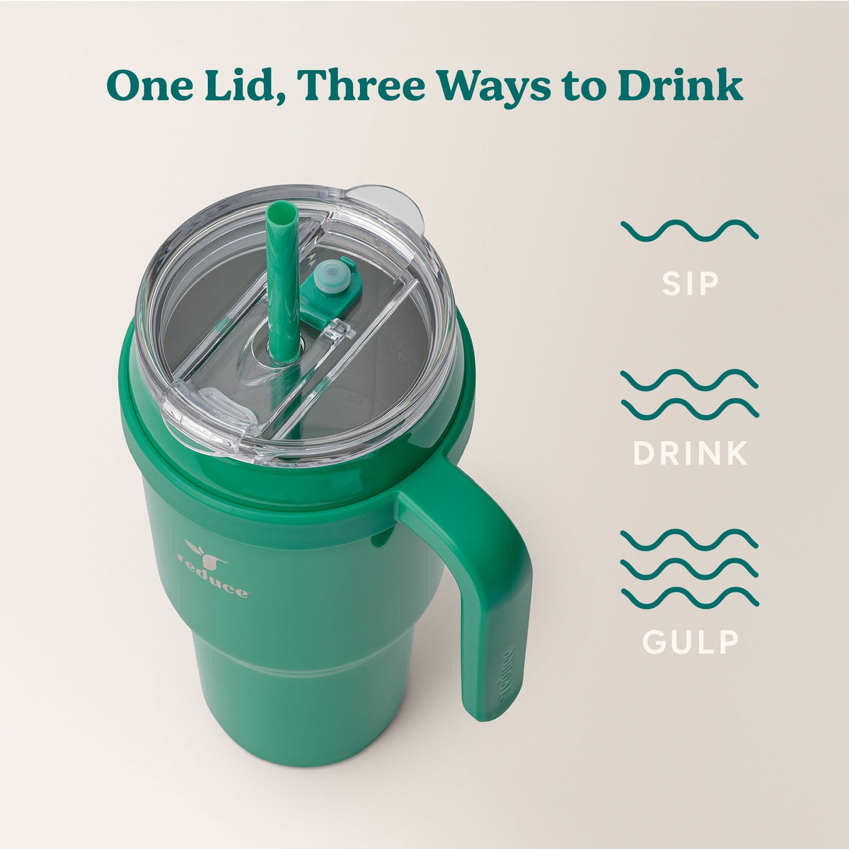cold1-40-oz-e3 Cold1_40oz_PalmLeaf_Infographic_3.jpg