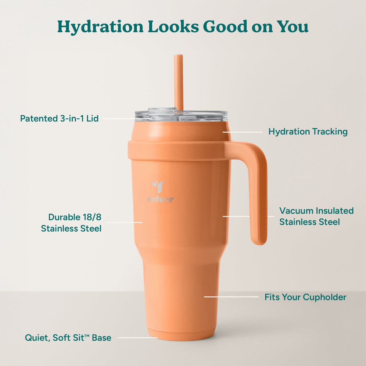 cold1-40-oz-e3 Cold1_40oz_Papaya_Infographic_2.jpg