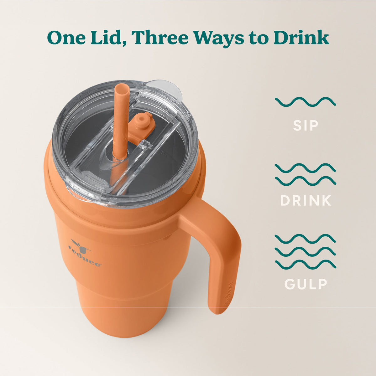 cold1-40-oz-e3 Cold1_40oz_Papaya_Infographic_3.jpg